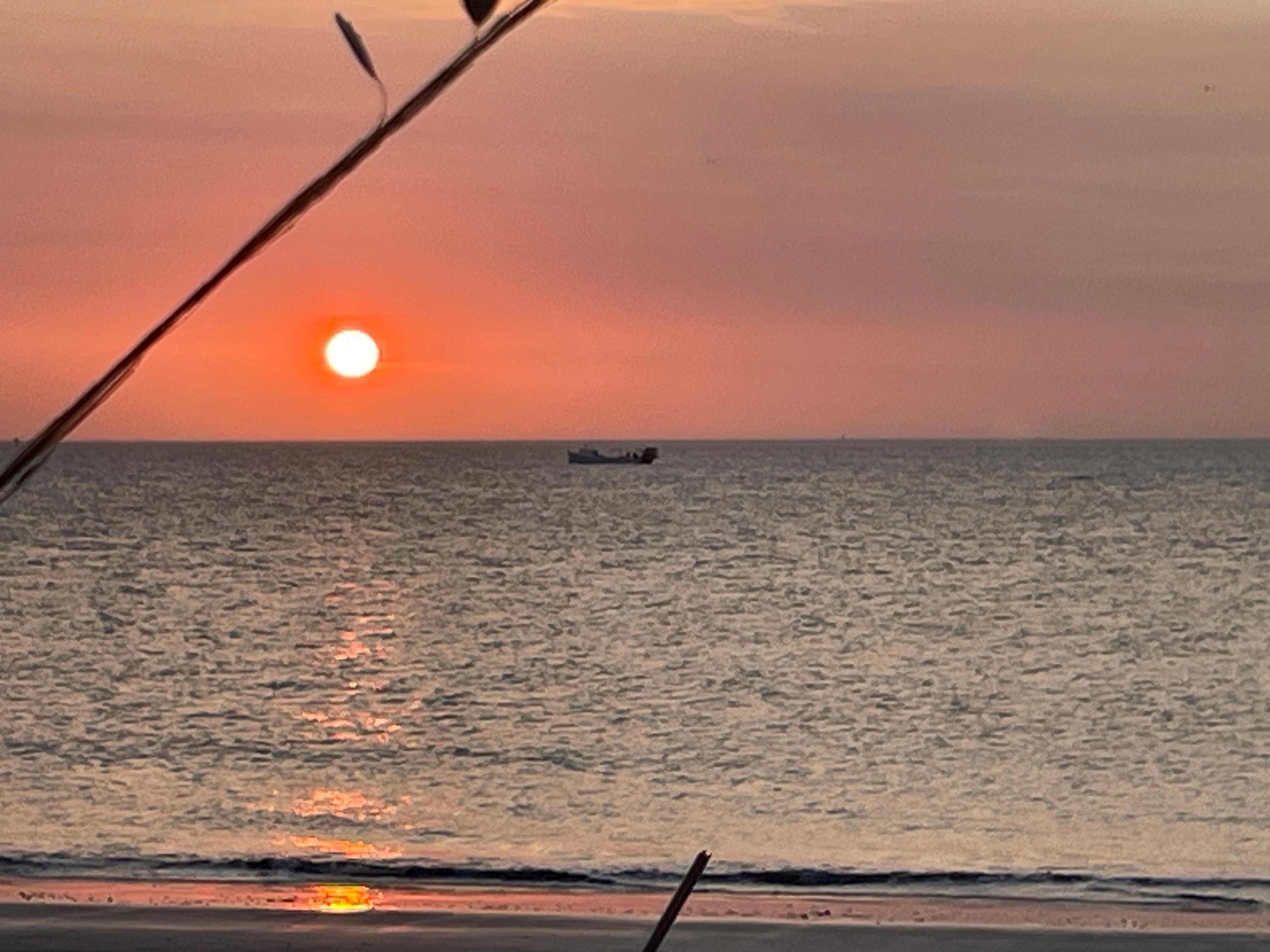 Watermen boats working at dawn