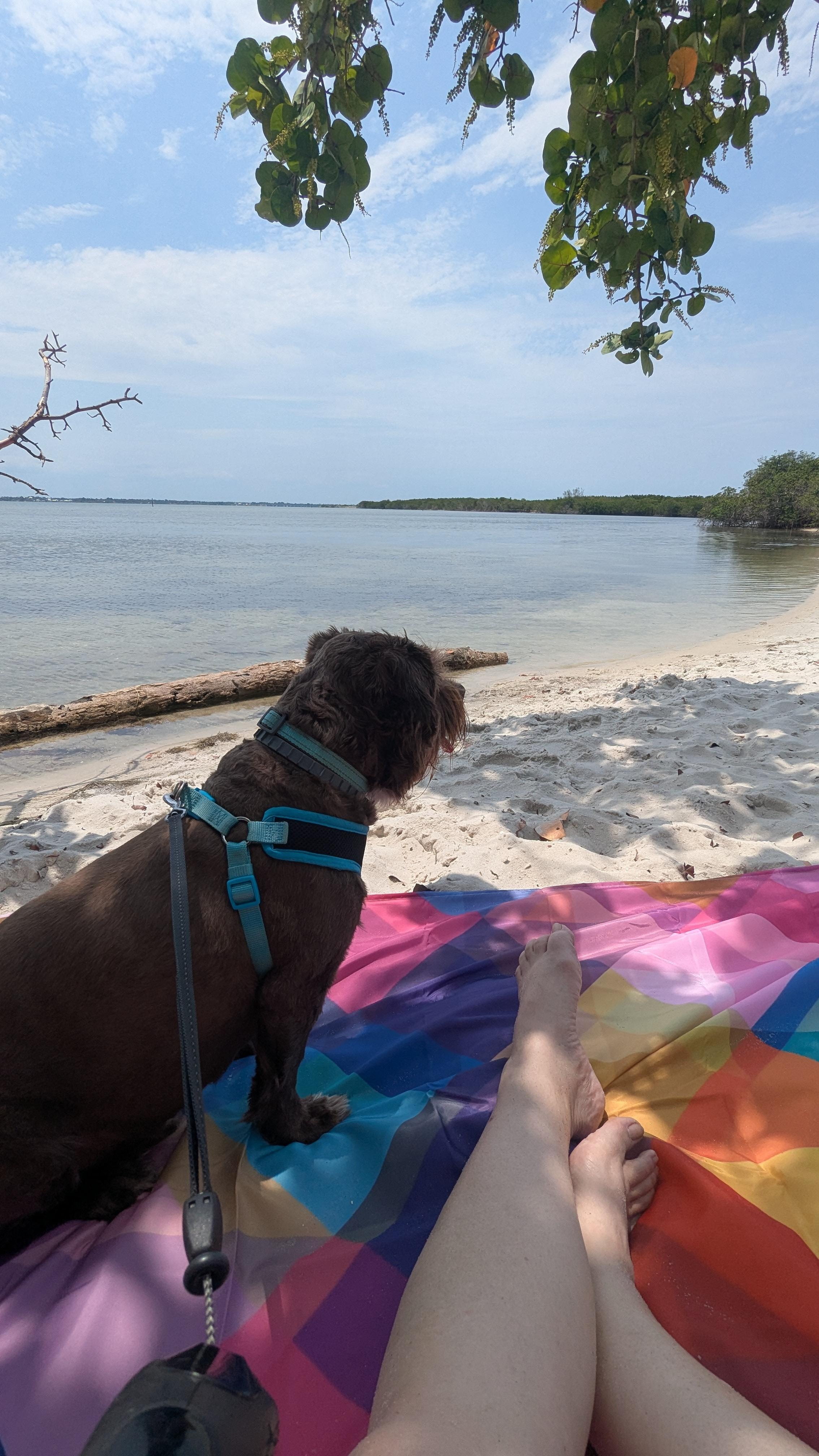 A beautiful day at the lagoon.