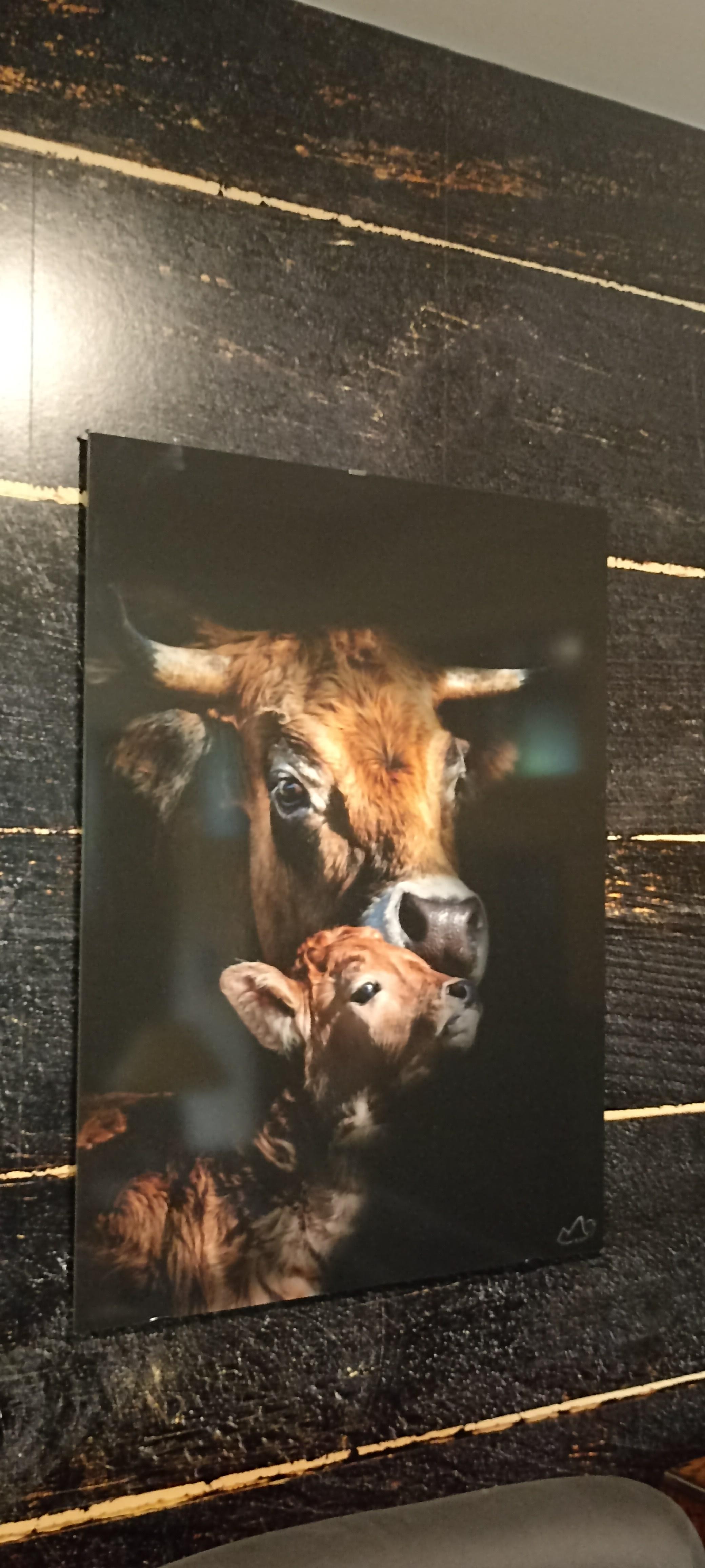 Des tableaux photos superbes d'un photographe local. La déco chinée👍