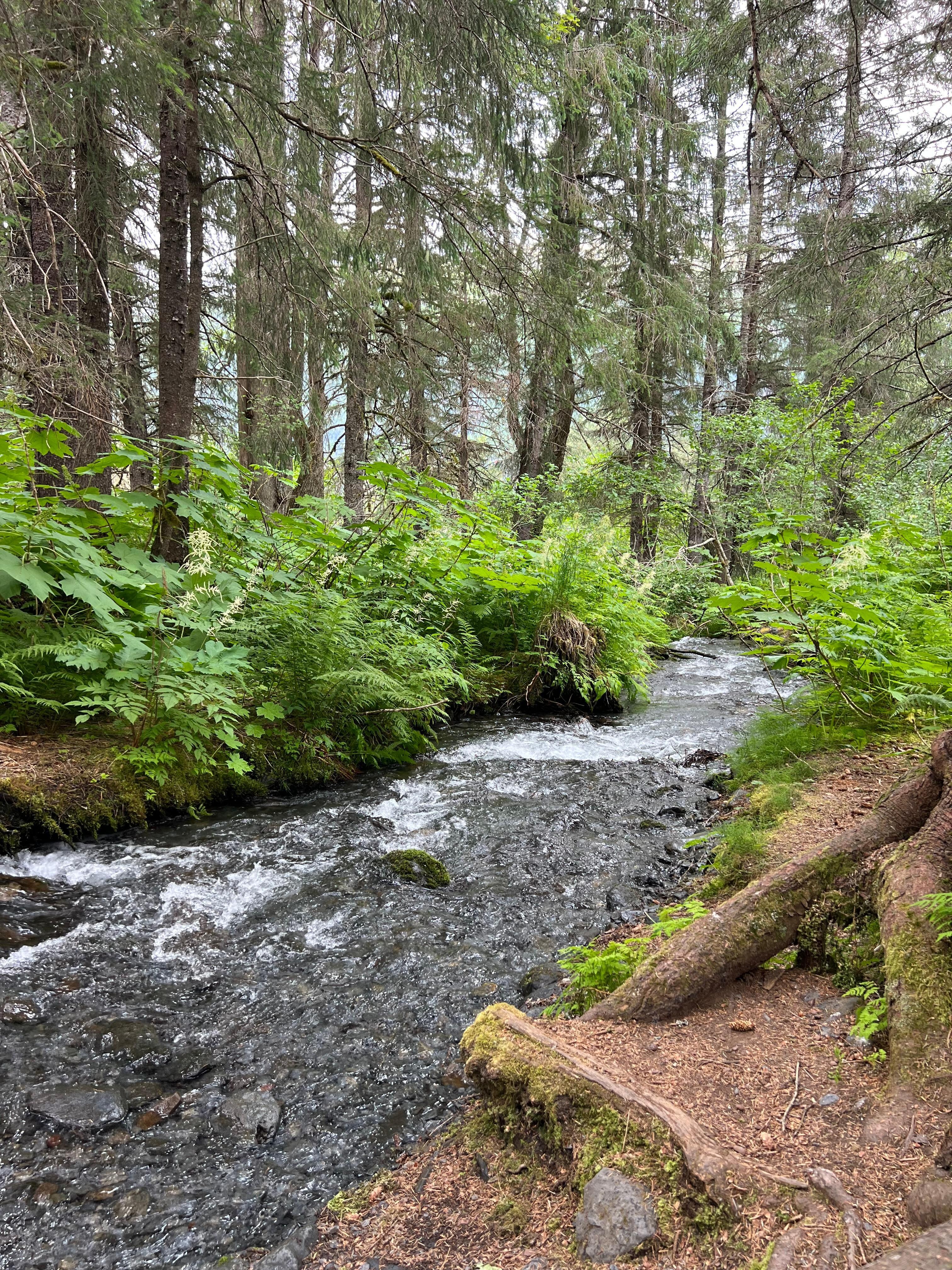 Hike near Girdwood 
