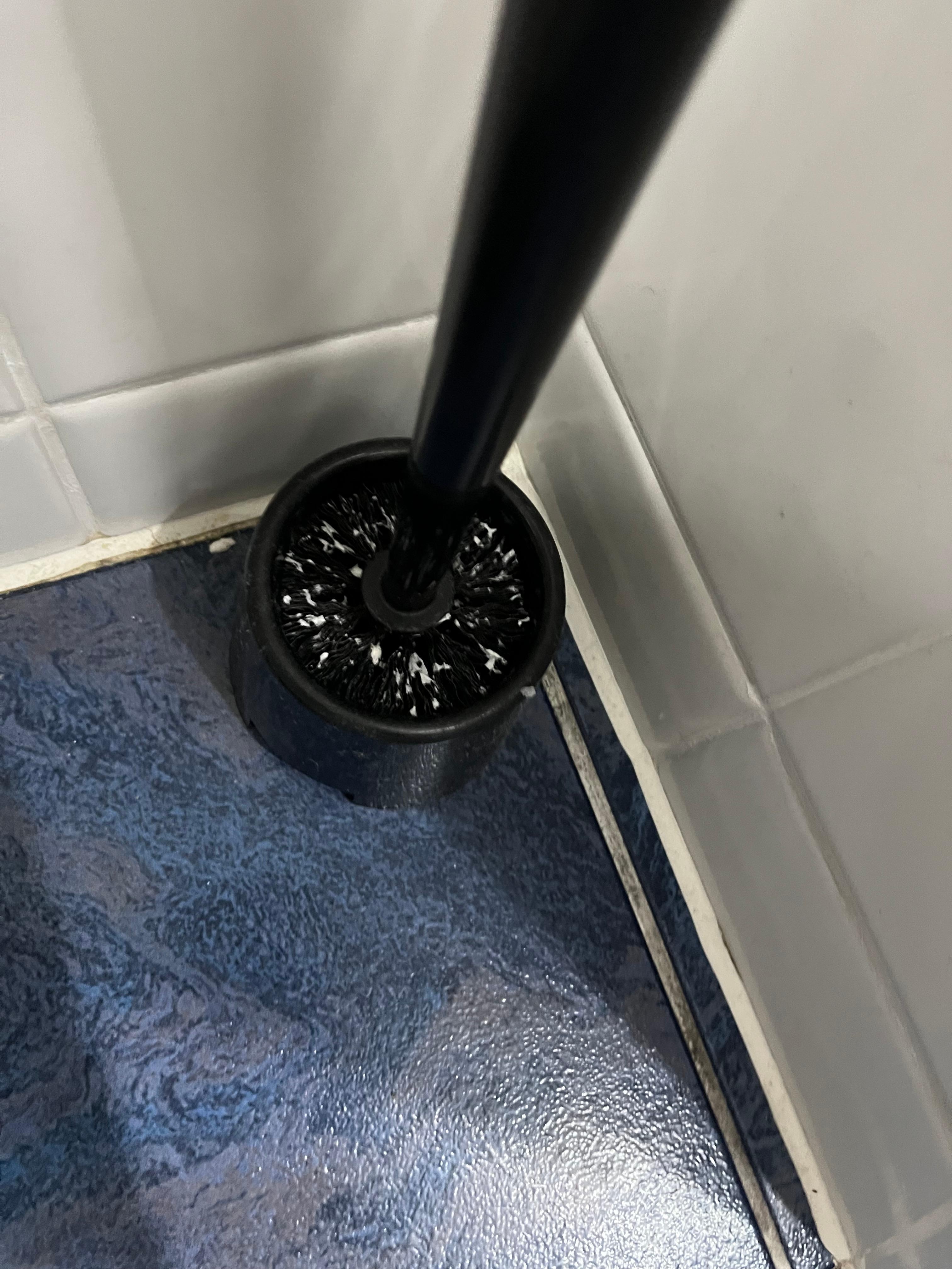 Toilet brush 