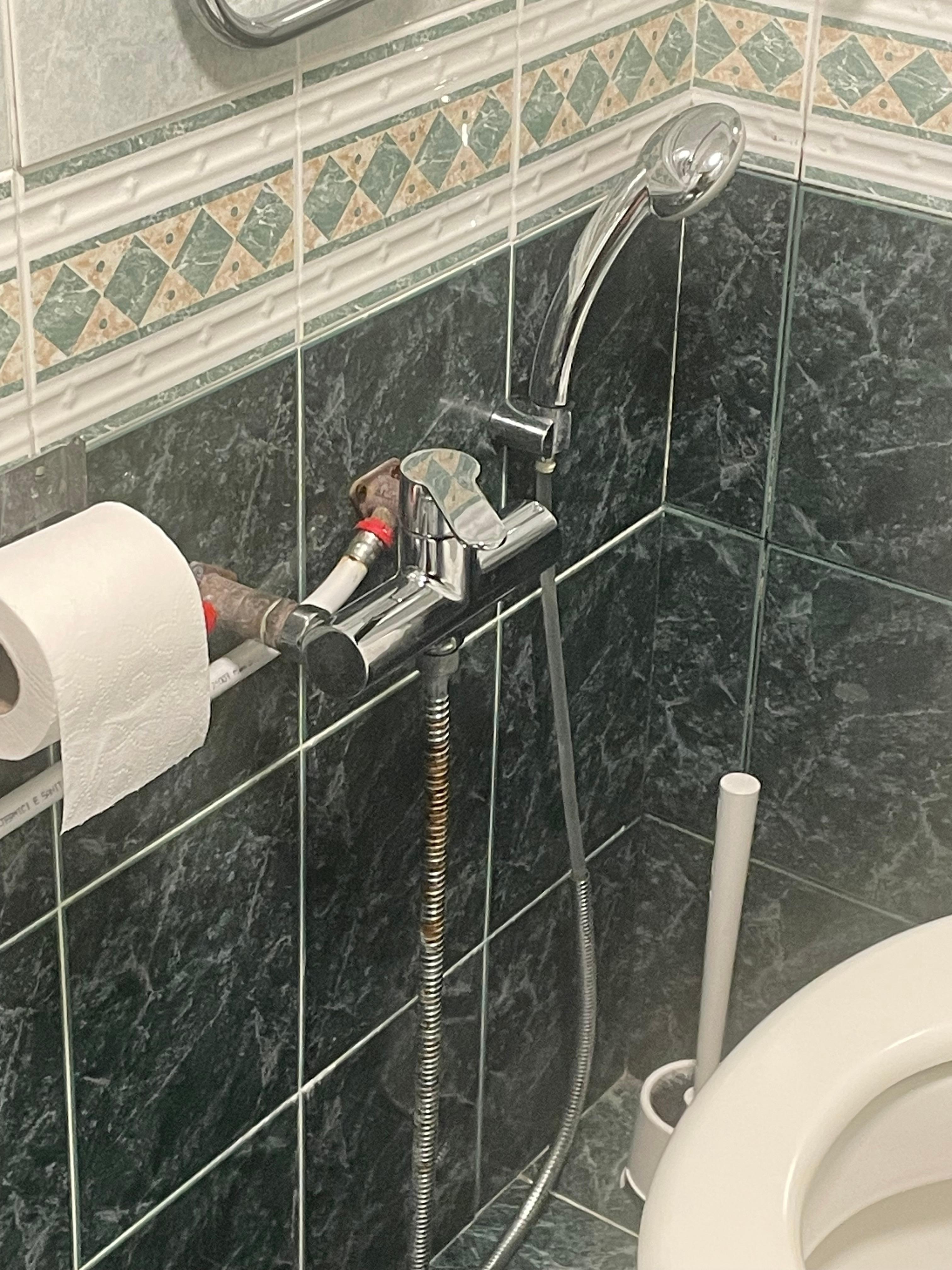 Tubo della doccetta per fare il bidet arrugginito 