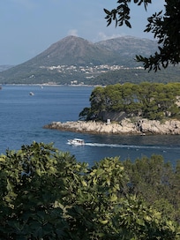 View from hotel