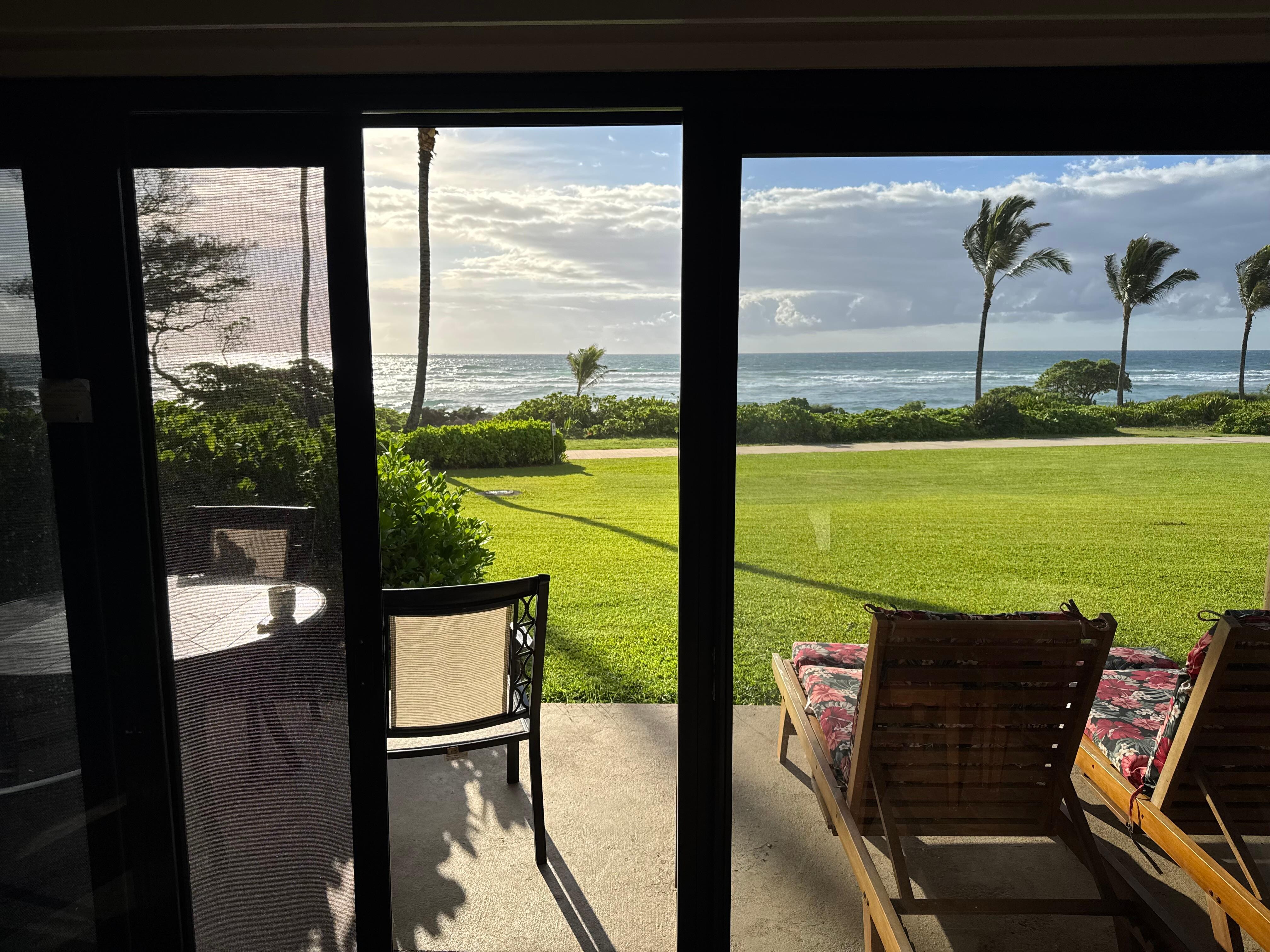 Day view from inside