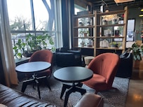 Each shelf shows plants taking root in glass jars with water.