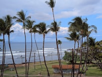 Leave sliding glass doors open and listen to the waves.