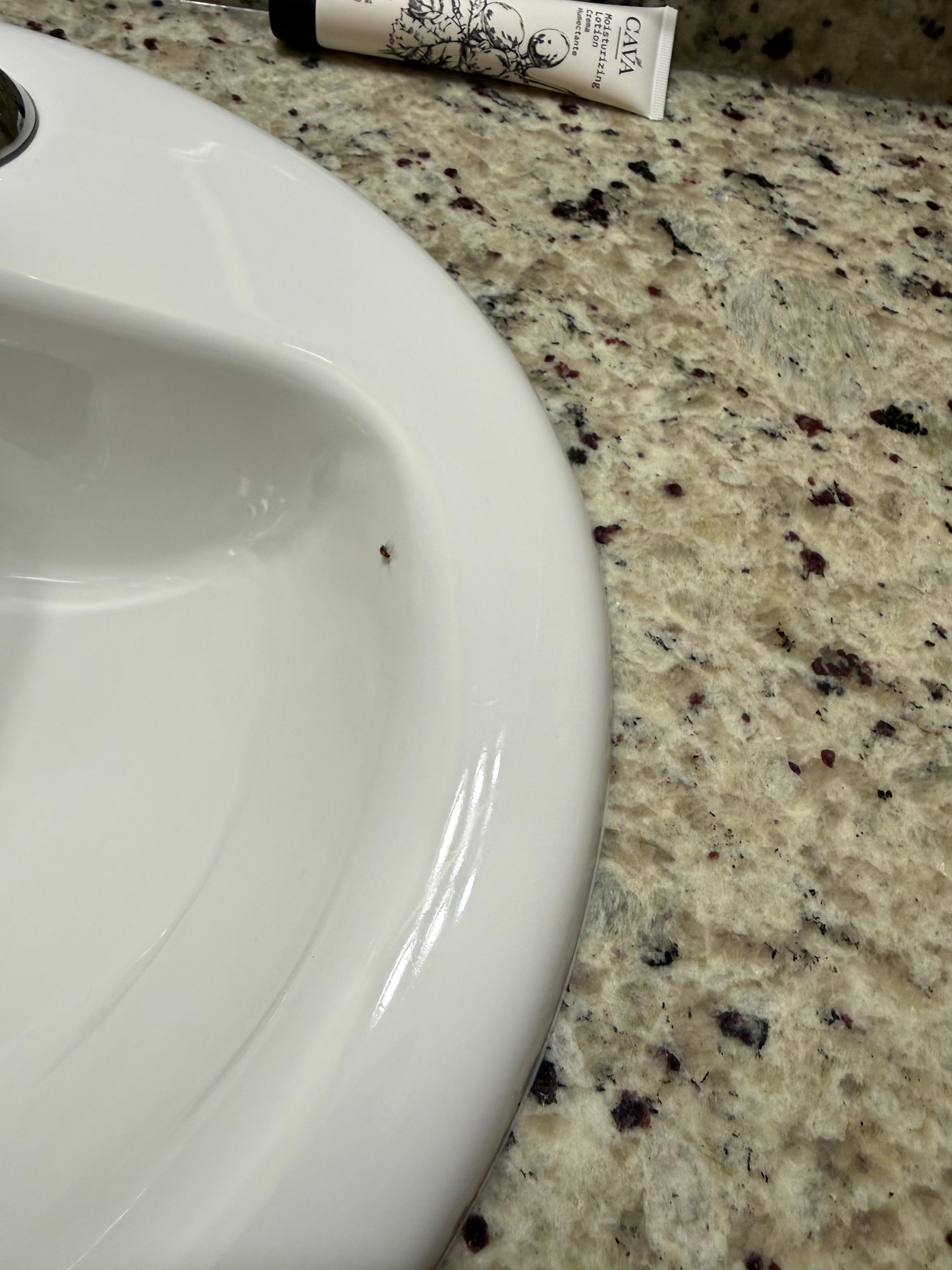 Roaches in master bedroom bathroom 