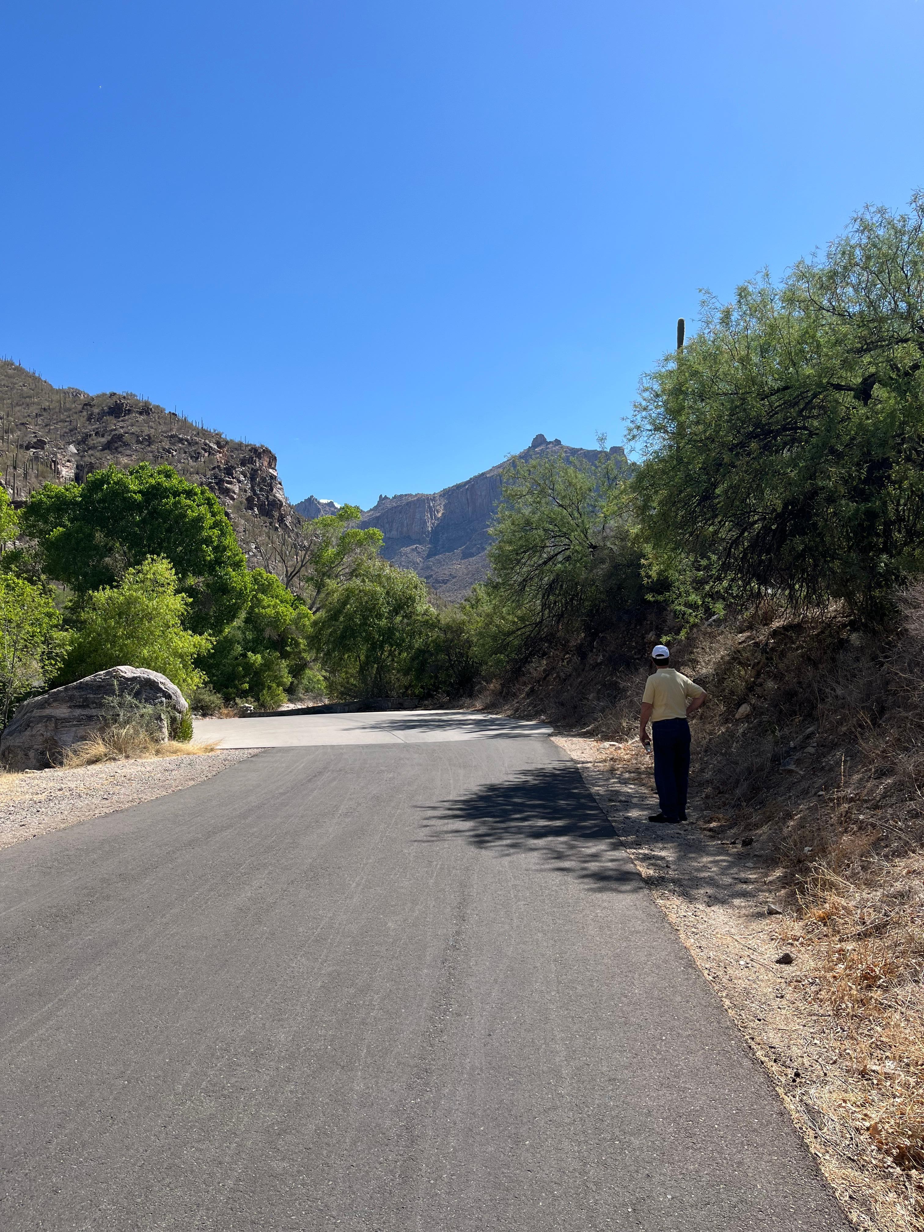 Sonoran Mountain hike