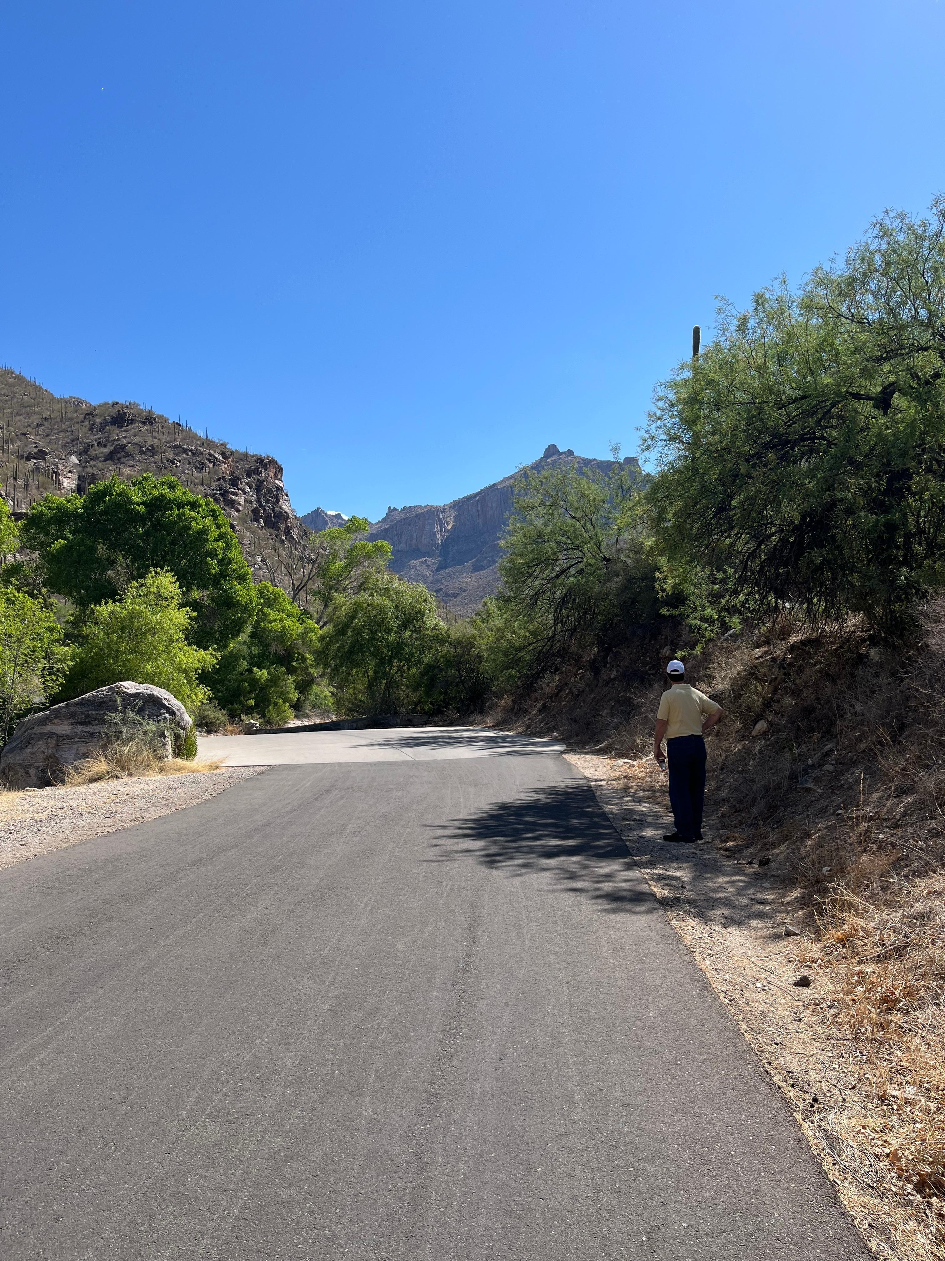 Sonoran Mountain hike