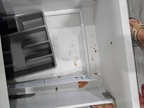 Refrigerator drawers were not cleaned