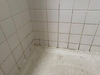 Mold in shower