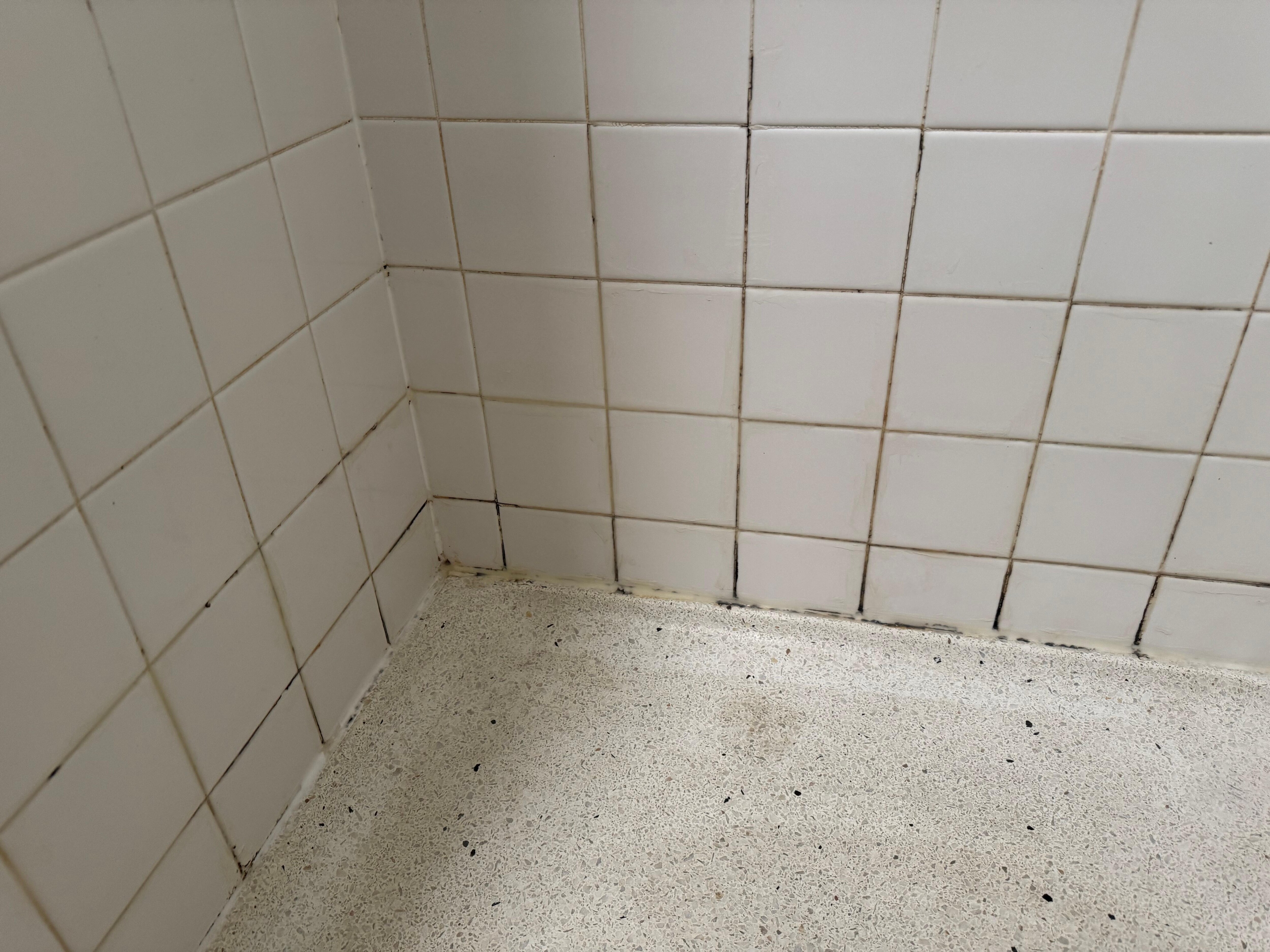 Mold in shower 