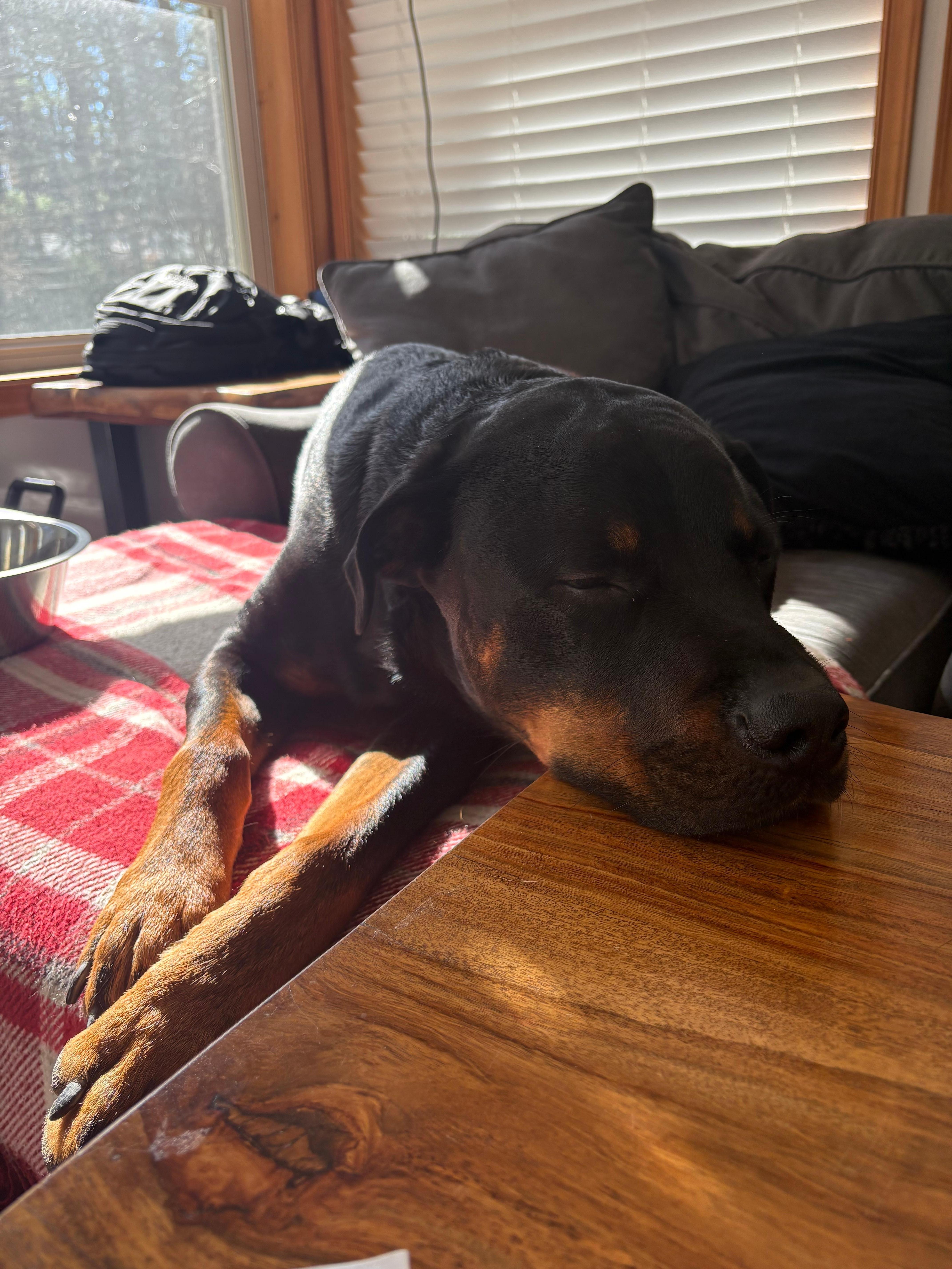 This was within the first 30 mins of arriving.. felt at home instantly 