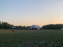 View from porch after sundown