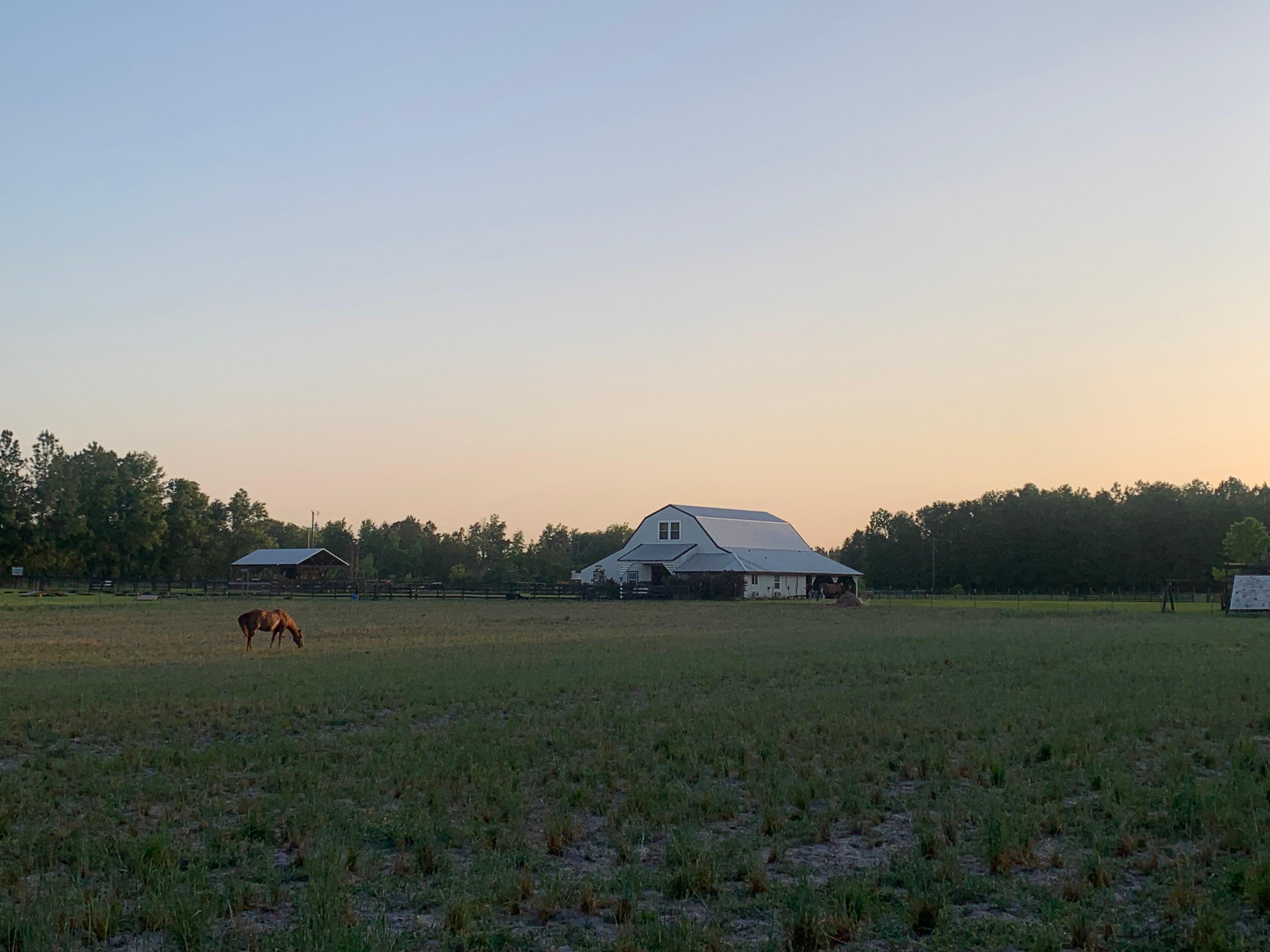 View from porch after sundown