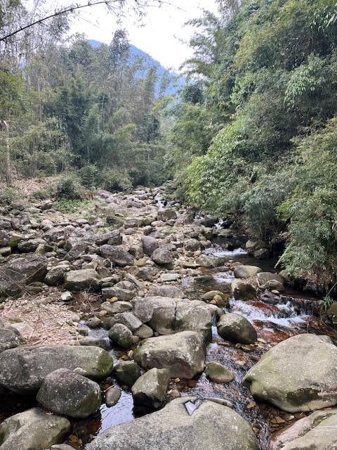 During our trek