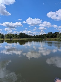 View of the pond.