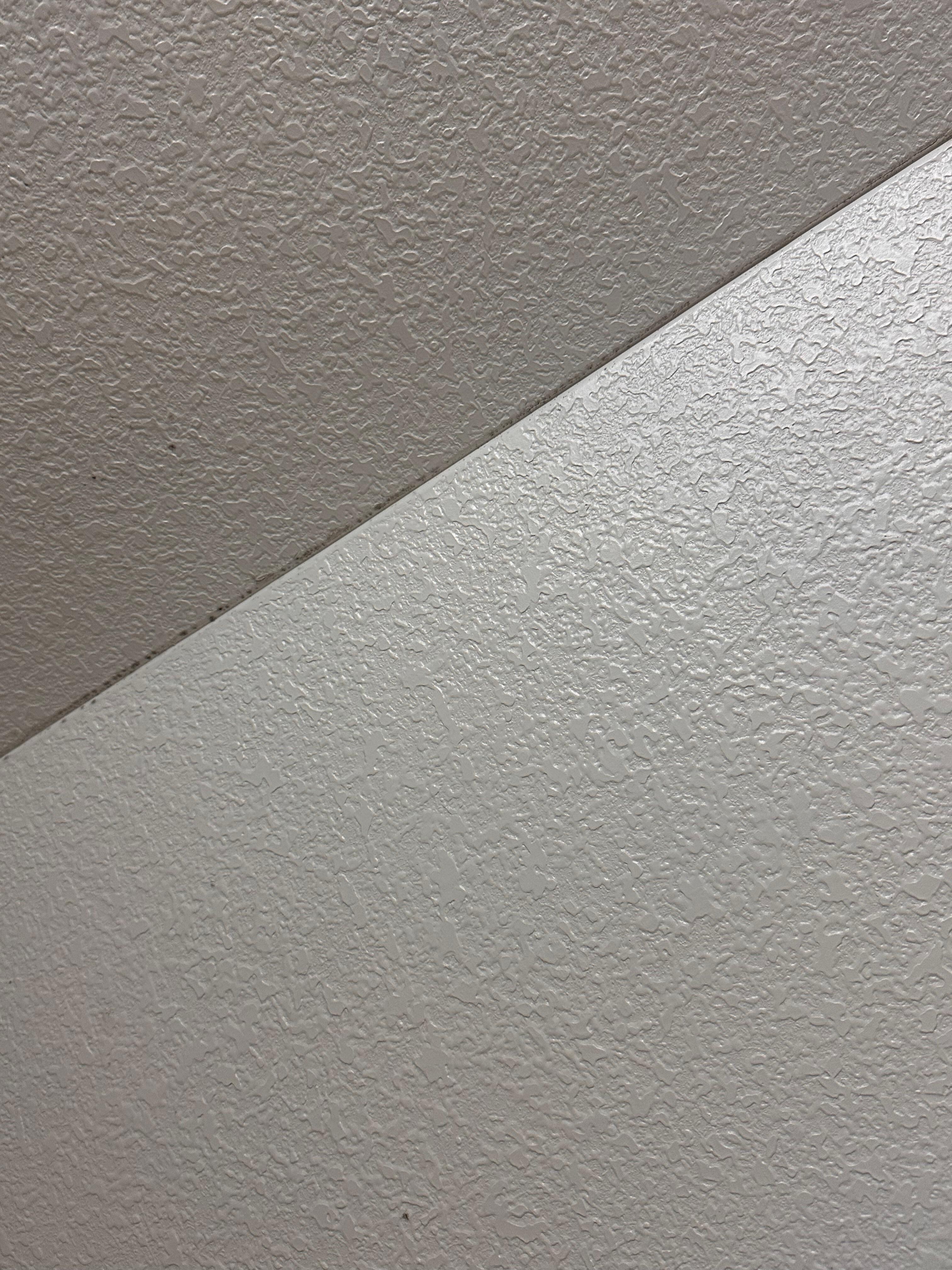 Black mold