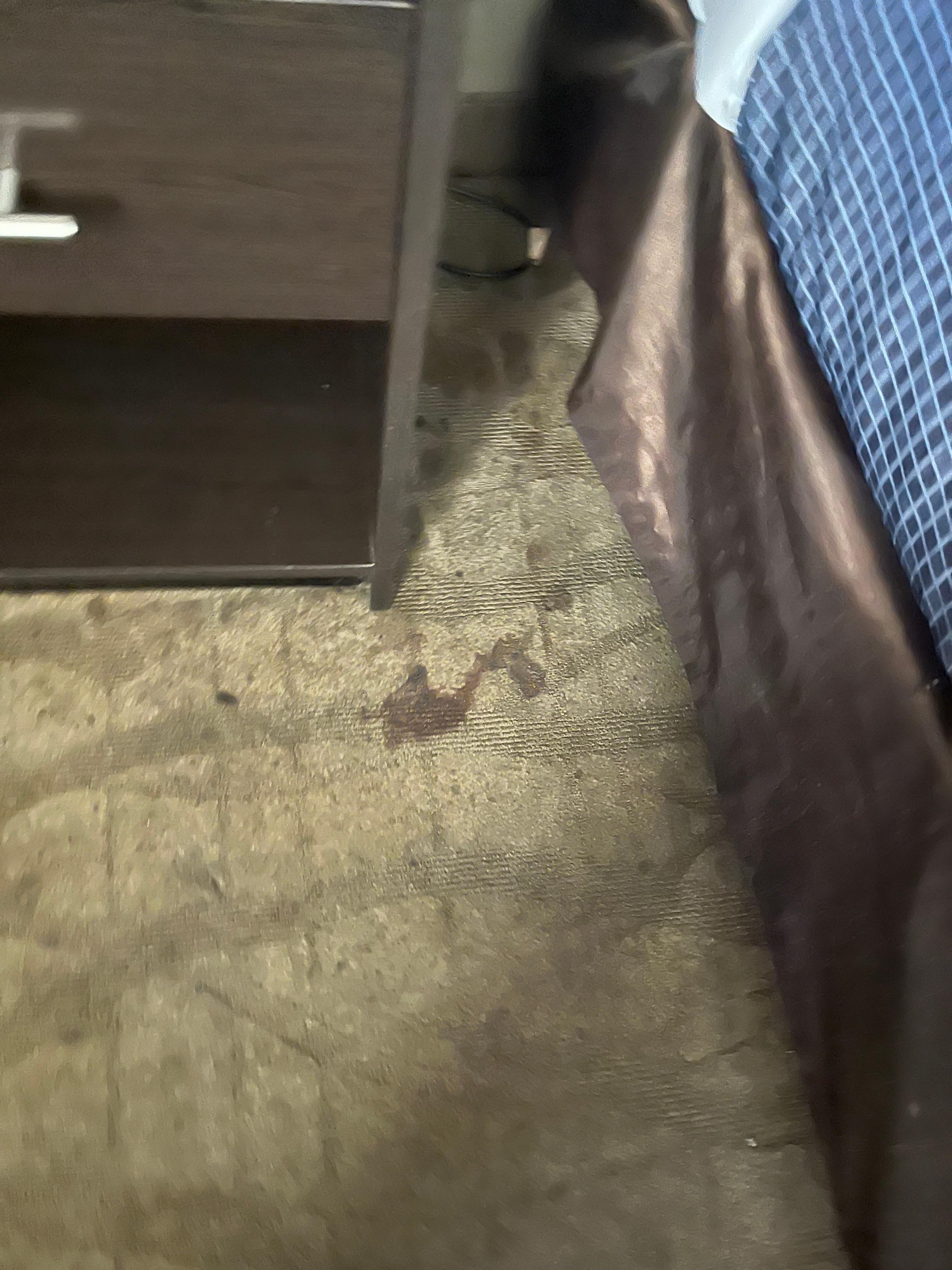 Mysterious stain flies were circling 