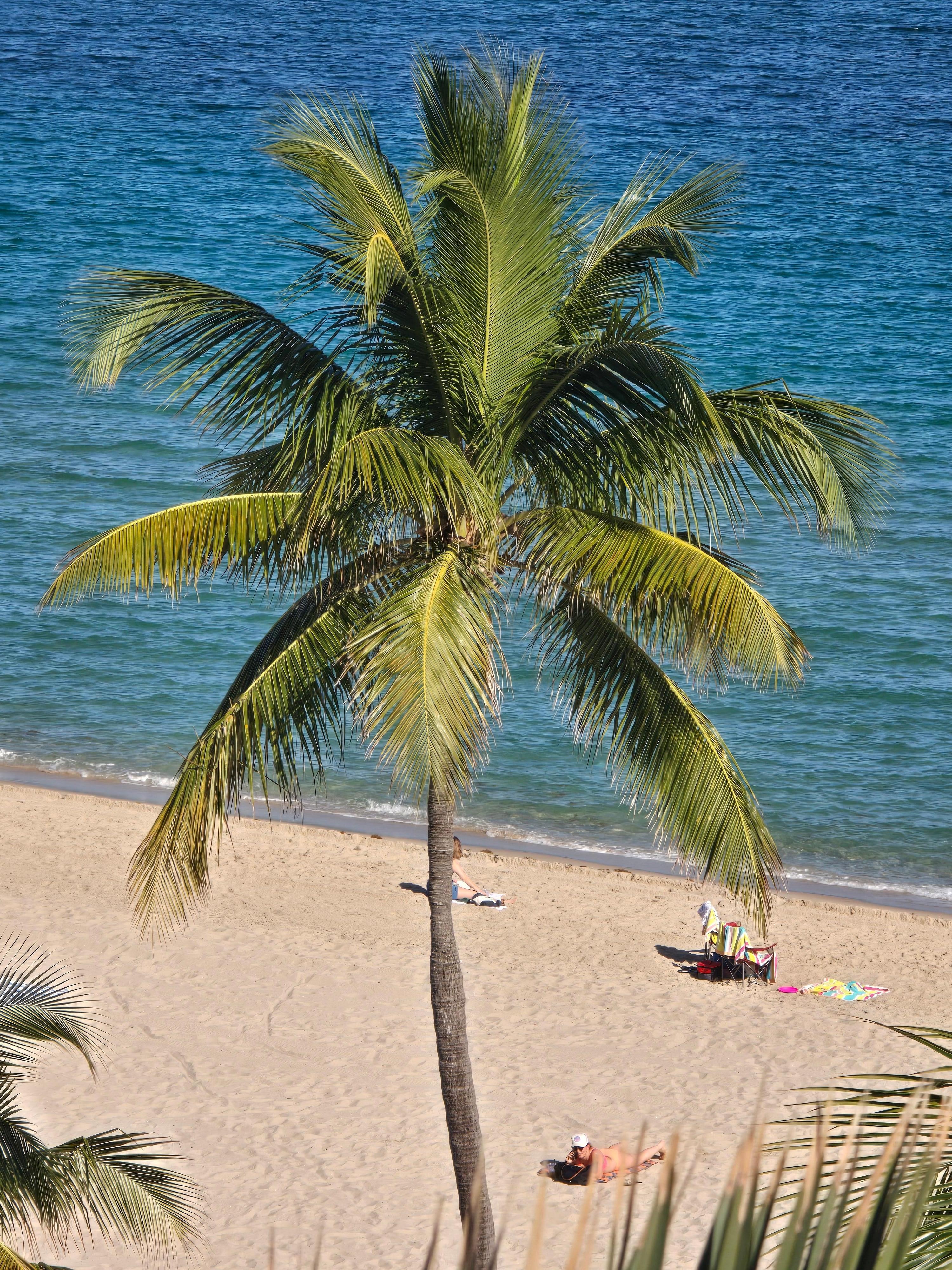View of beach from r[m