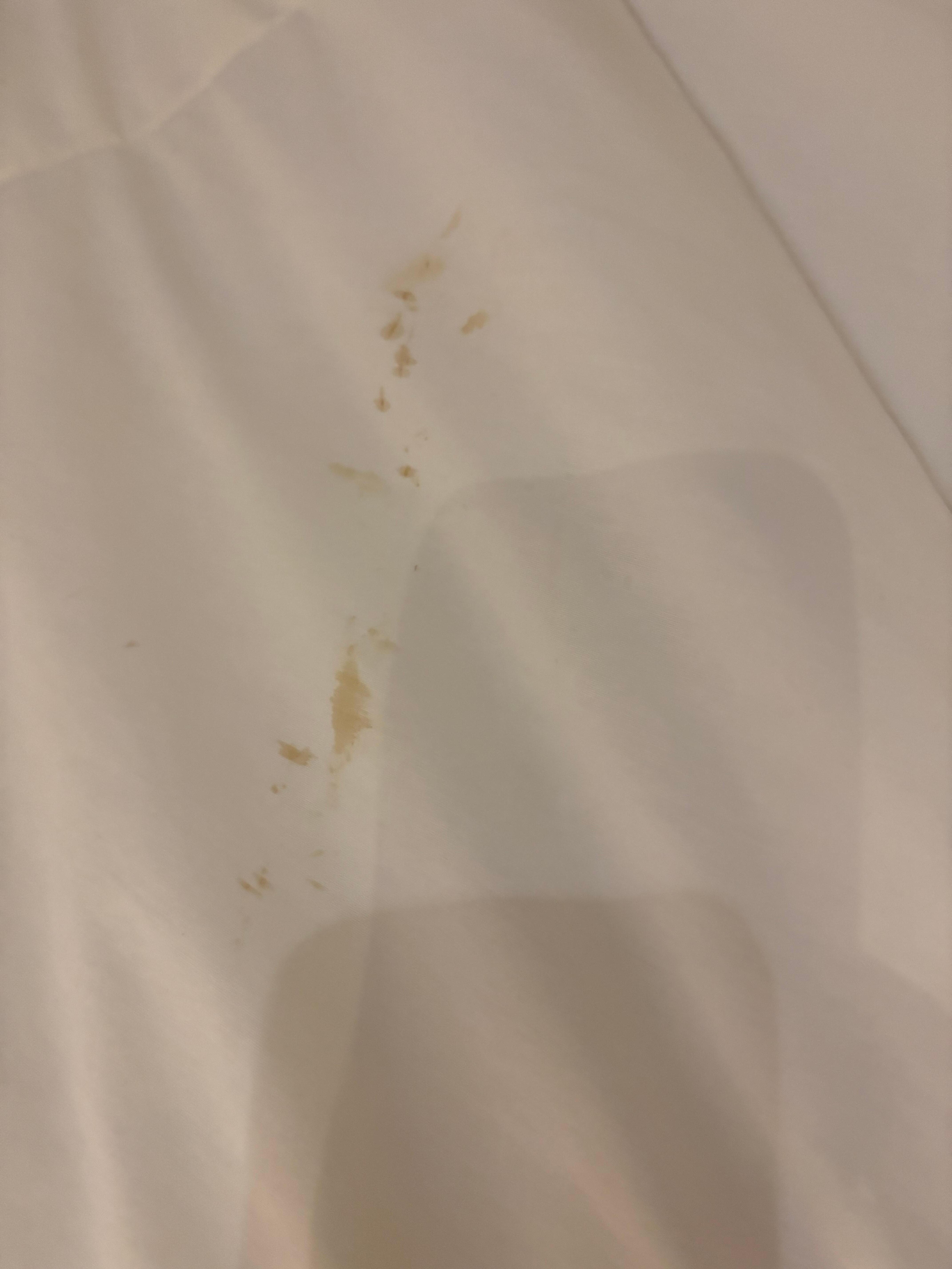 Stained bedding 