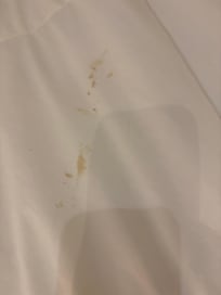 Stained bedding