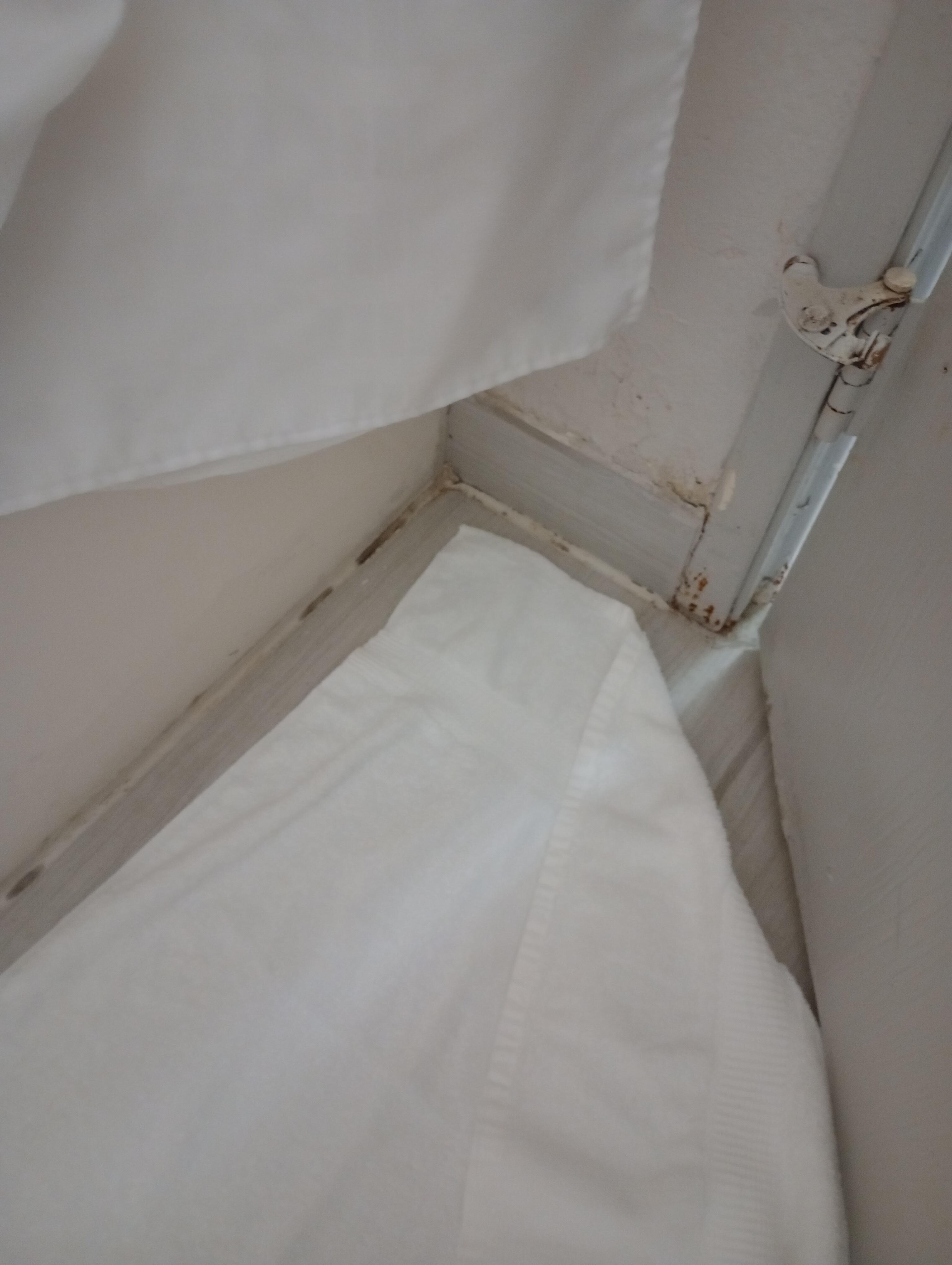 Mold and rust on bathroom door