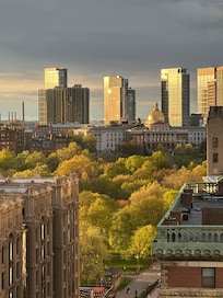 Close up view: Boston Common & gold dome of State House