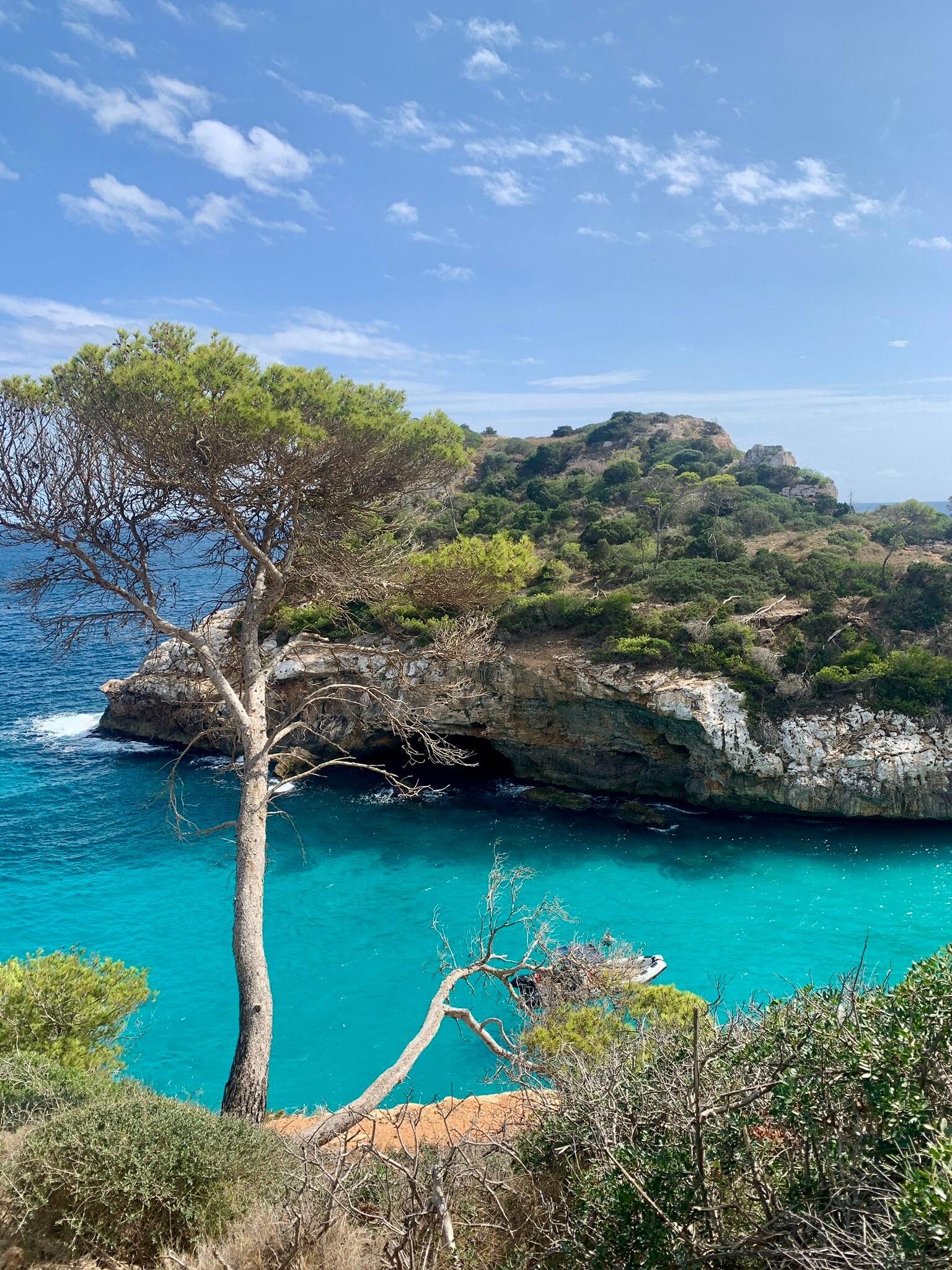 Beautiful beaches and coves nearby