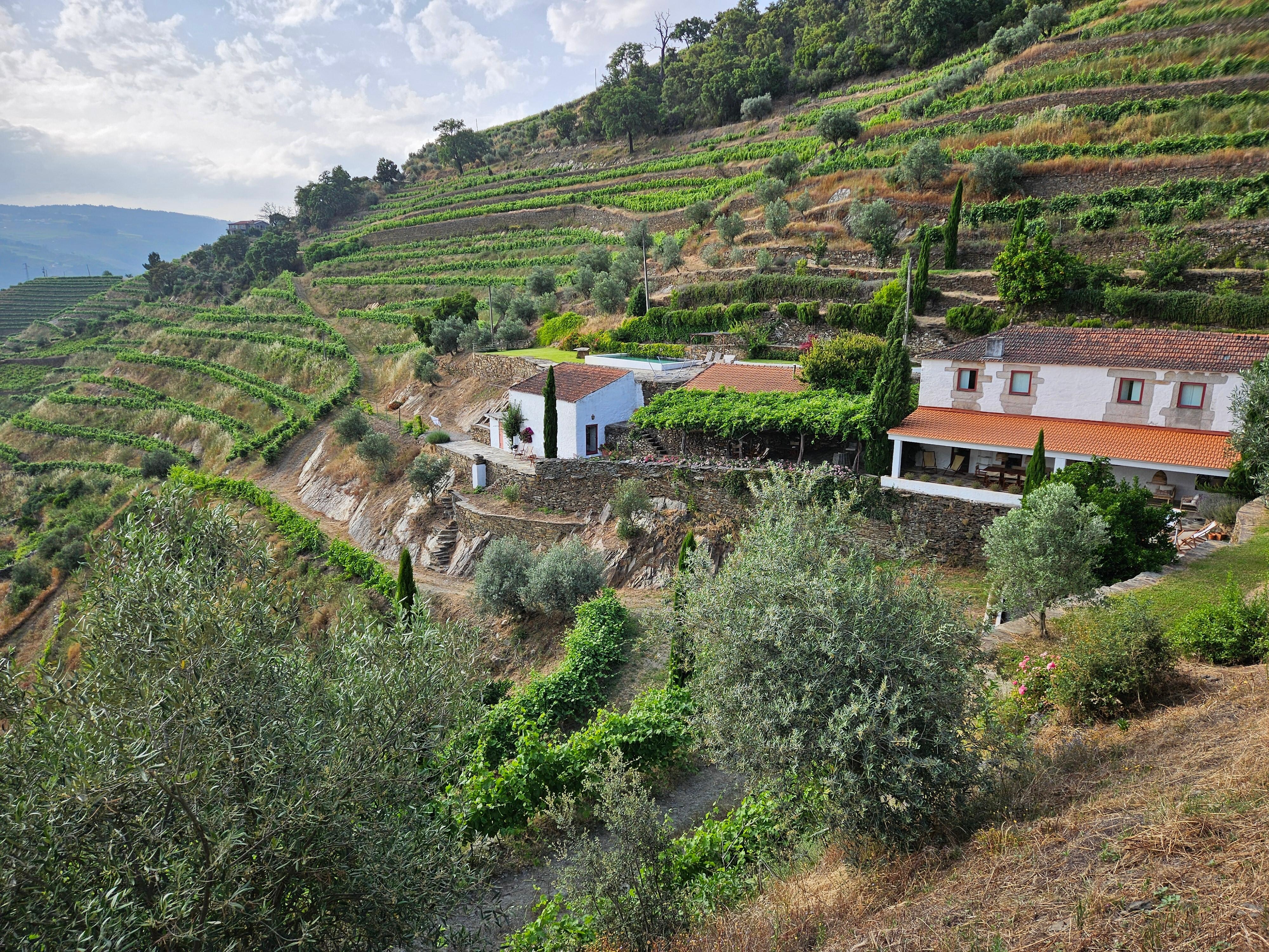 Rental on left with pool above