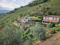 Rental on left with pool above