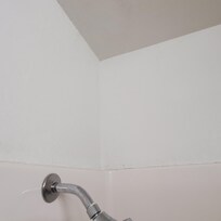 Mold covered with paint