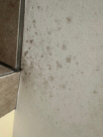 Mildew