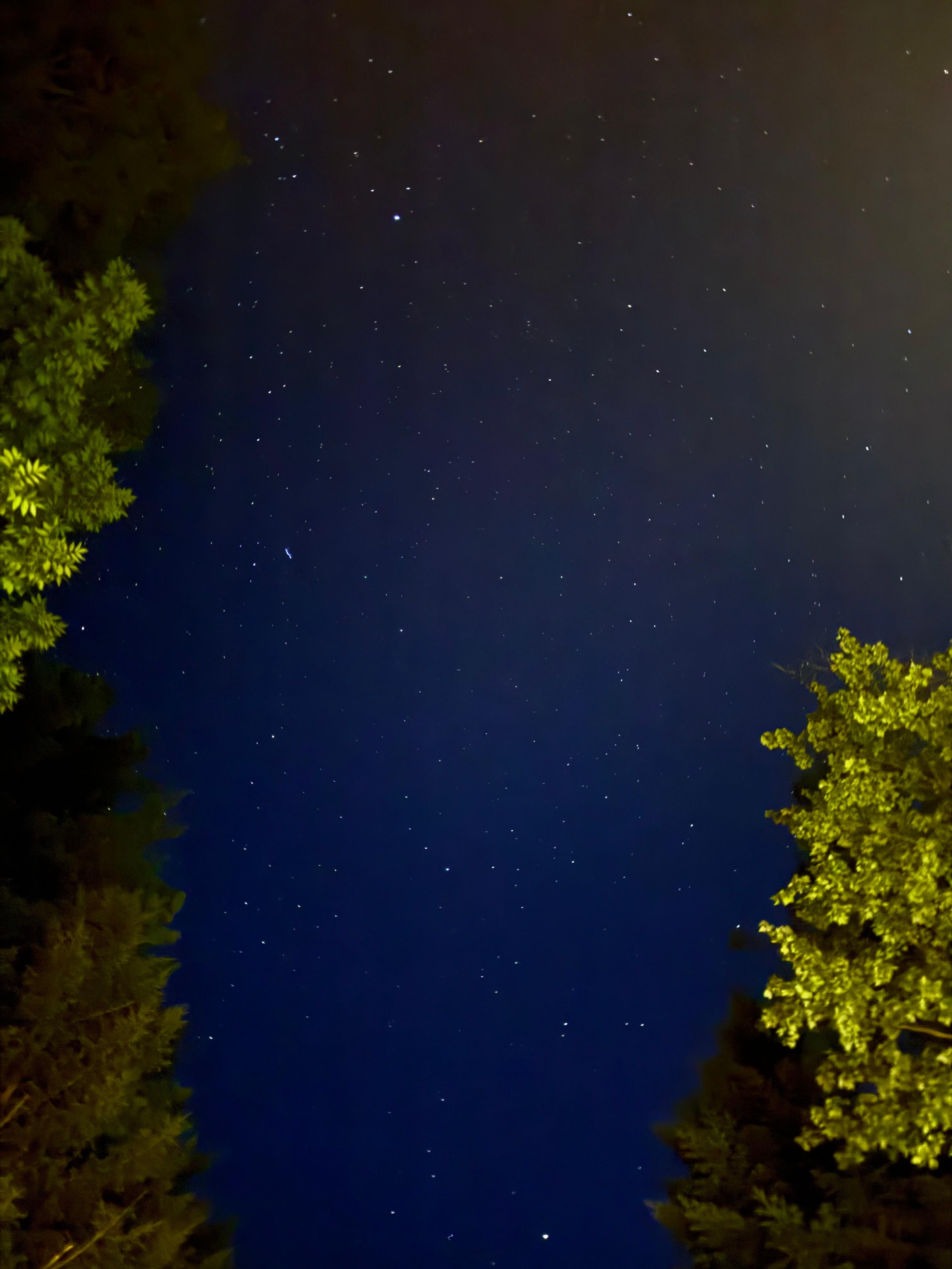 Stars at night from the front porch 
