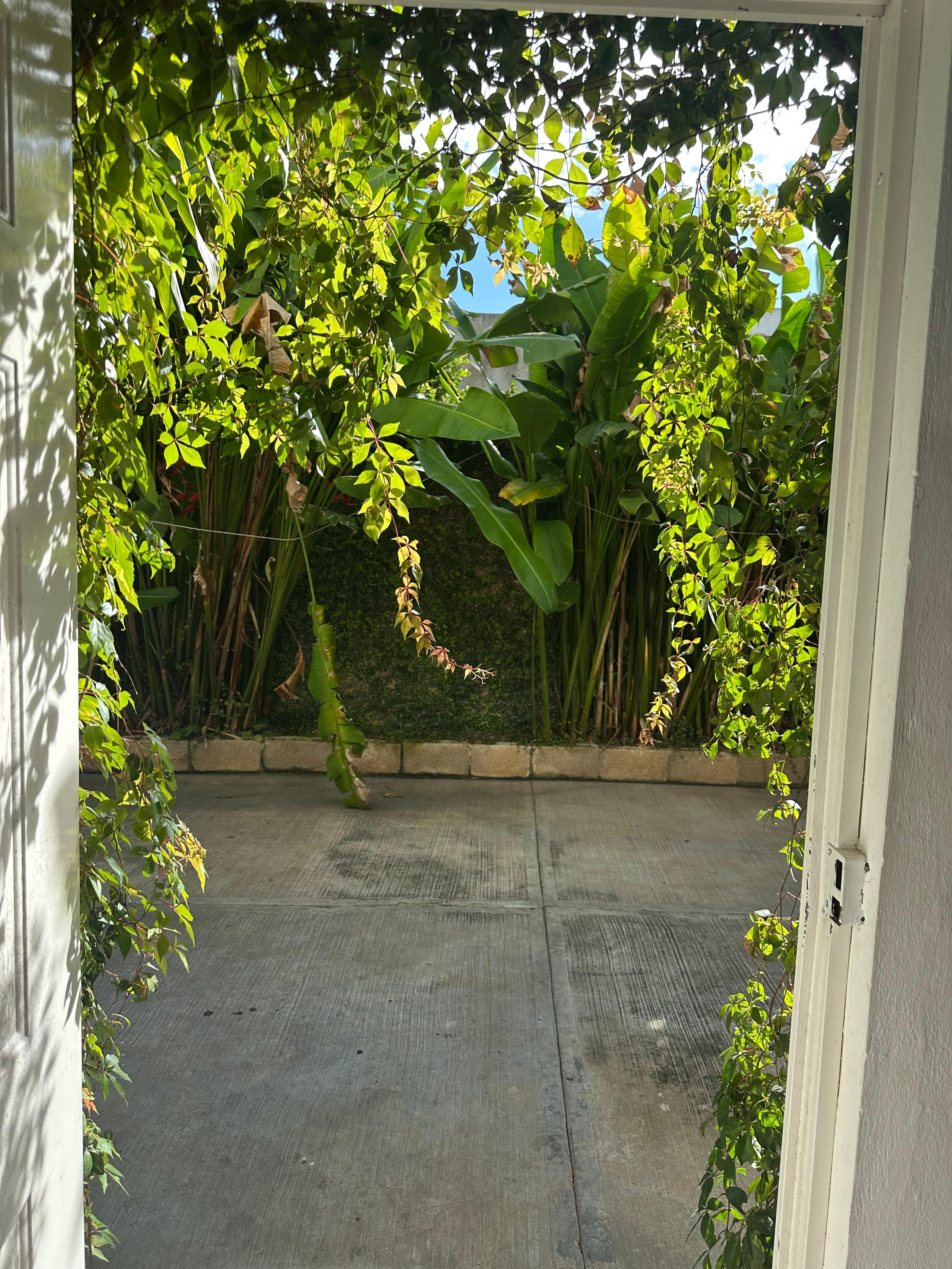 Looking out the door 