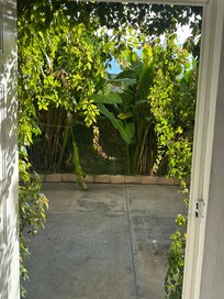 Looking out the door