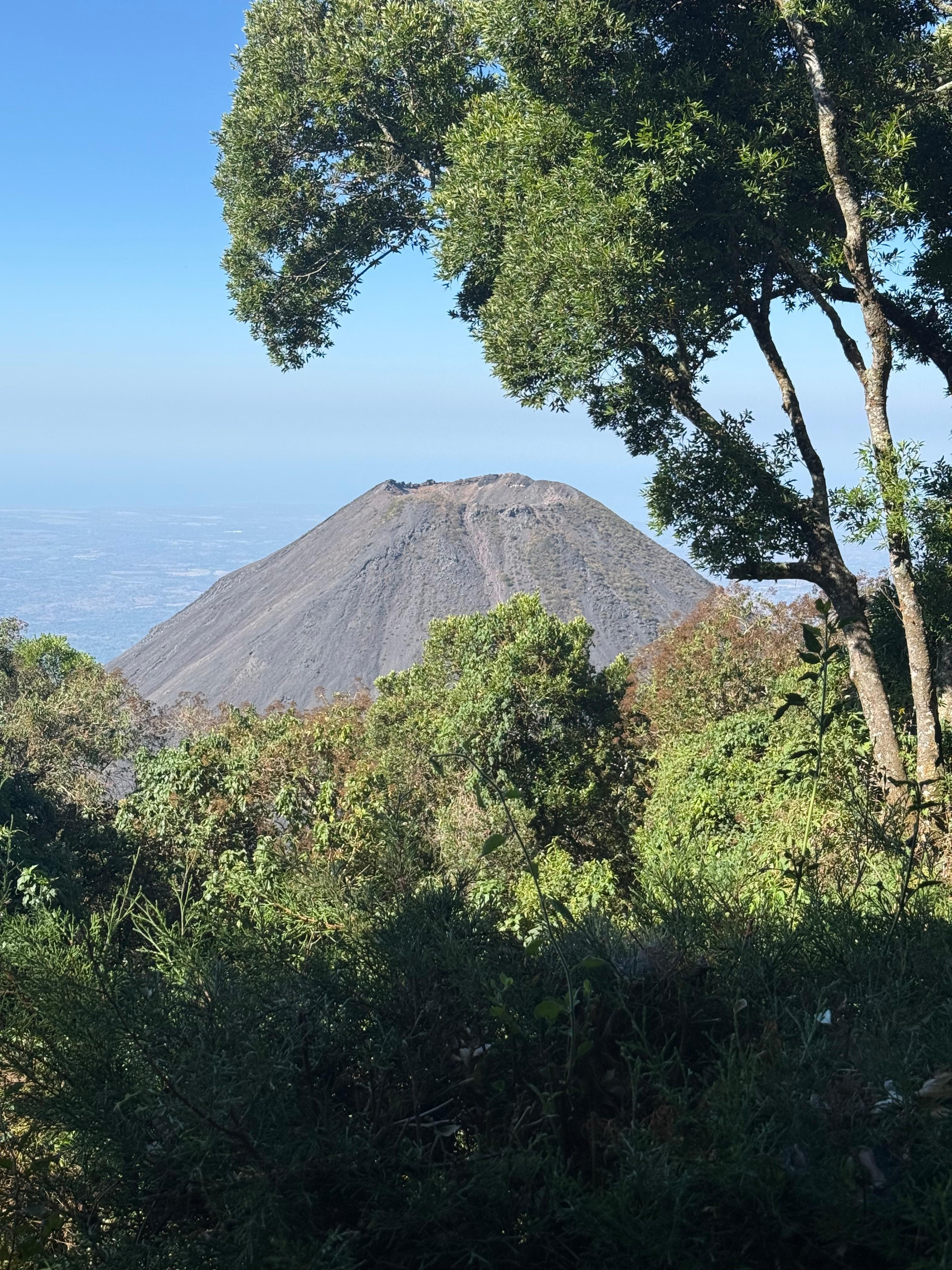 The view from the room. 