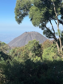 The view from the room.