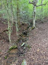 Creek behind cabin