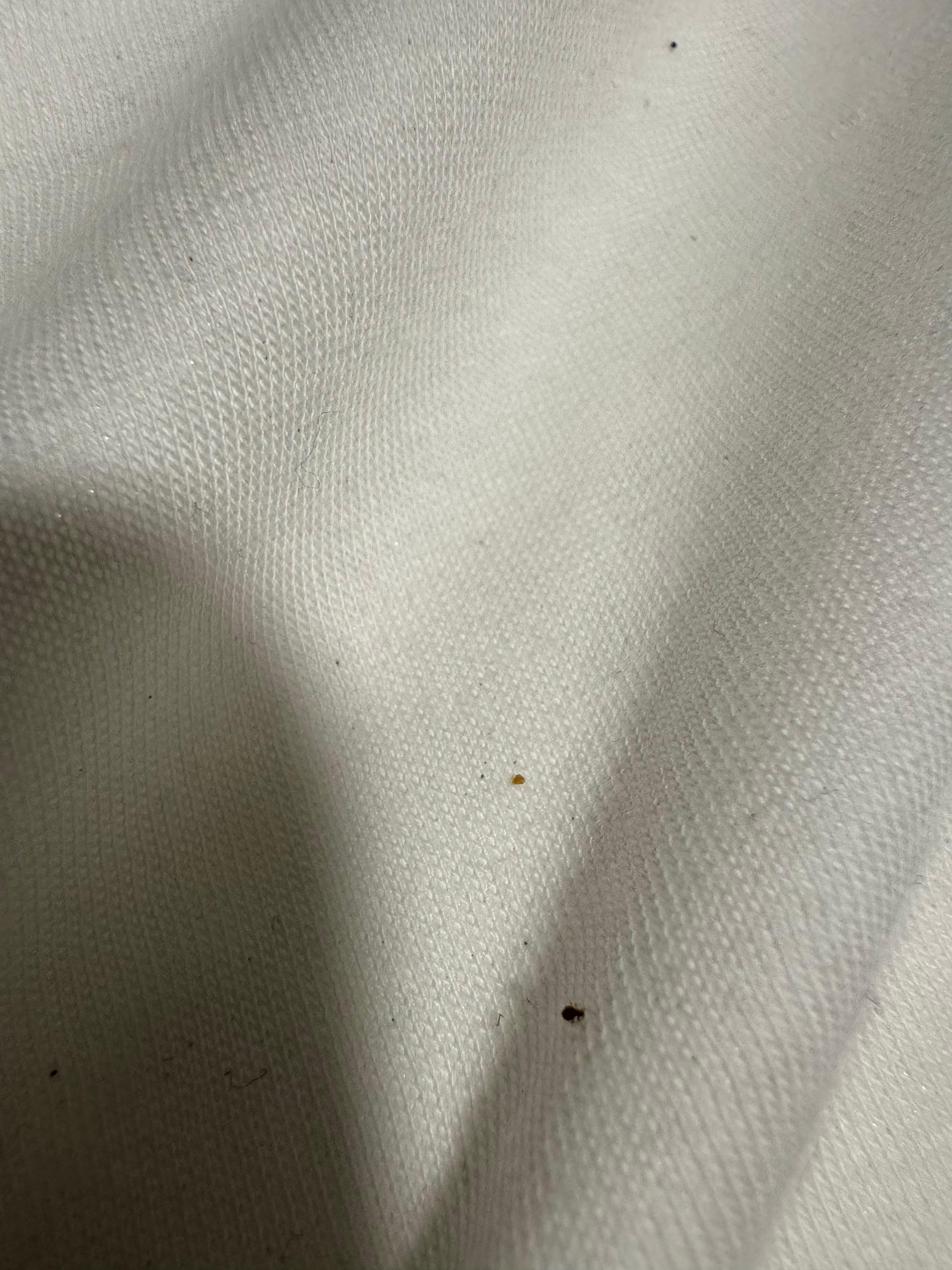 Bugs on the mattress pad