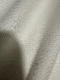 Bugs on the mattress pad