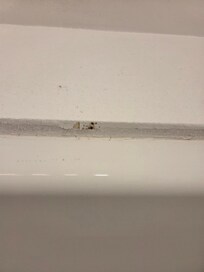 Black mold above the shower