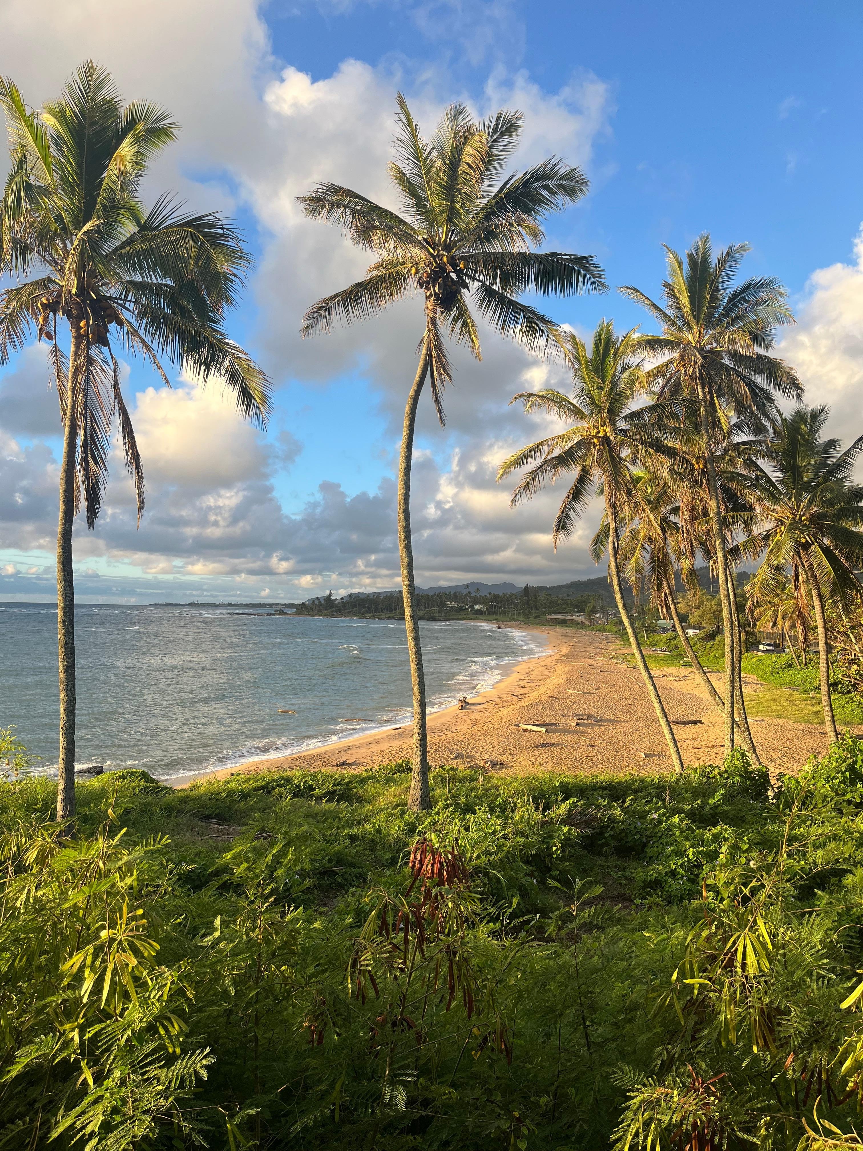 Beautiful view behind our VRBO