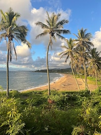 Beautiful view behind our VRBO