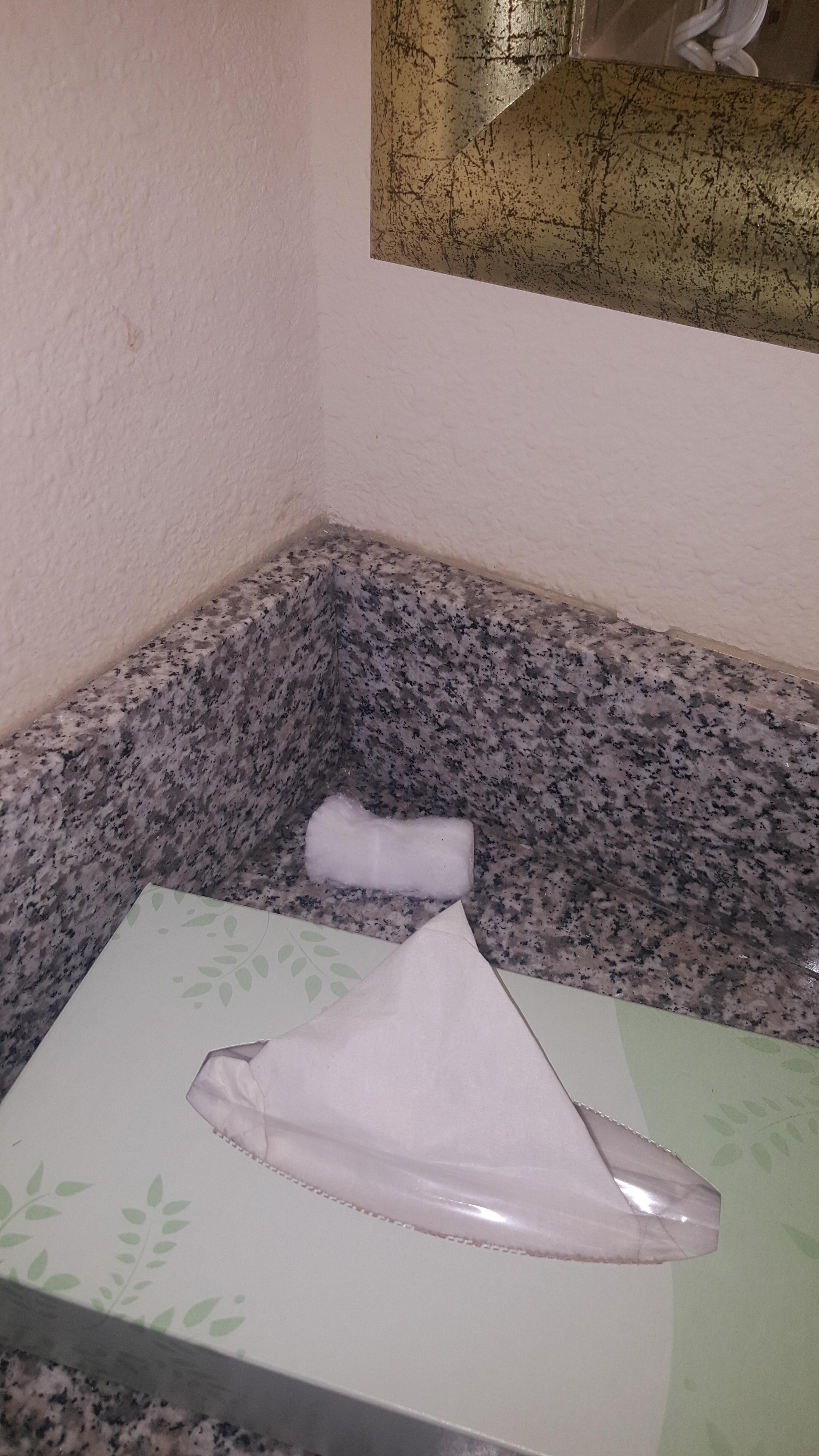No telling how long that was there. Cleaning svc clearly not attentive