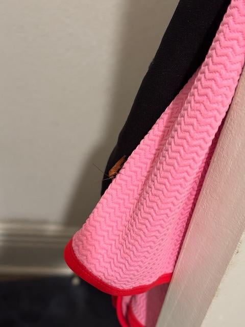 Cockroach in shared bathroom.