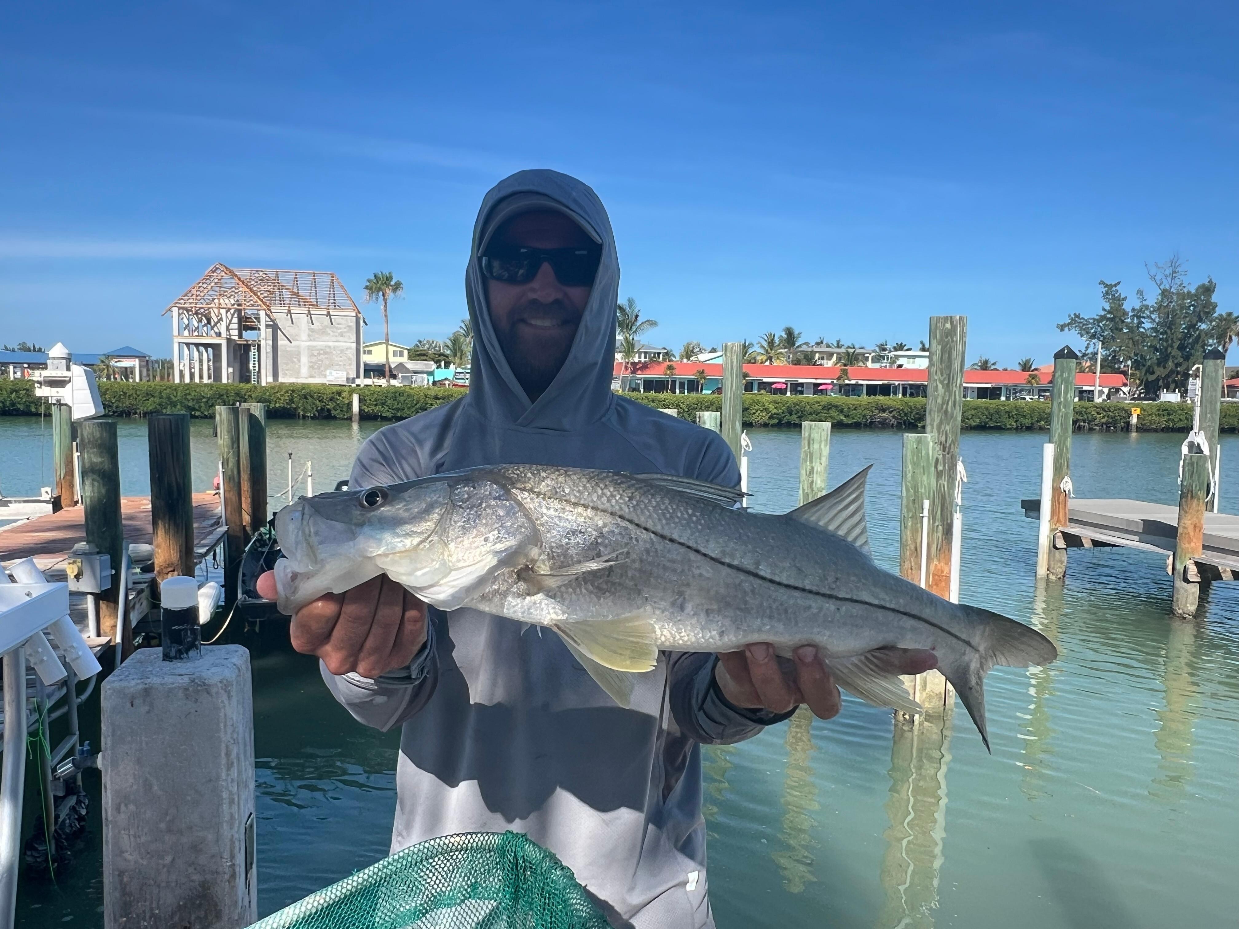 Snook