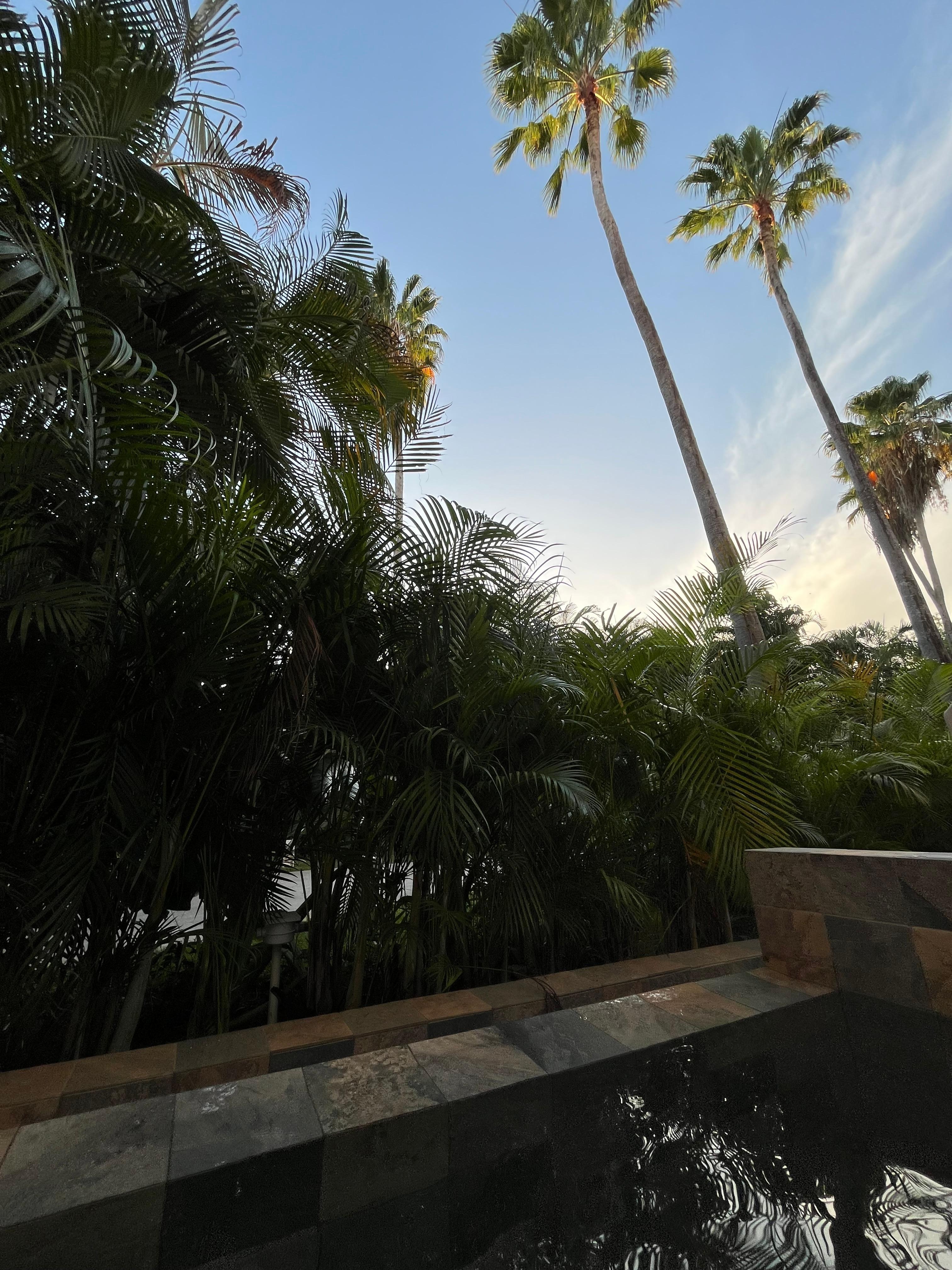 Alberca del la habitación platinum con alberca