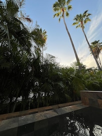 Alberca del la habitación platinum con alberca