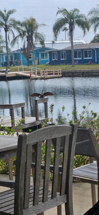 View from the kitchen